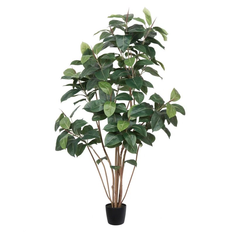 Potted Artificial Green Rubber Tree | Wayfair North America