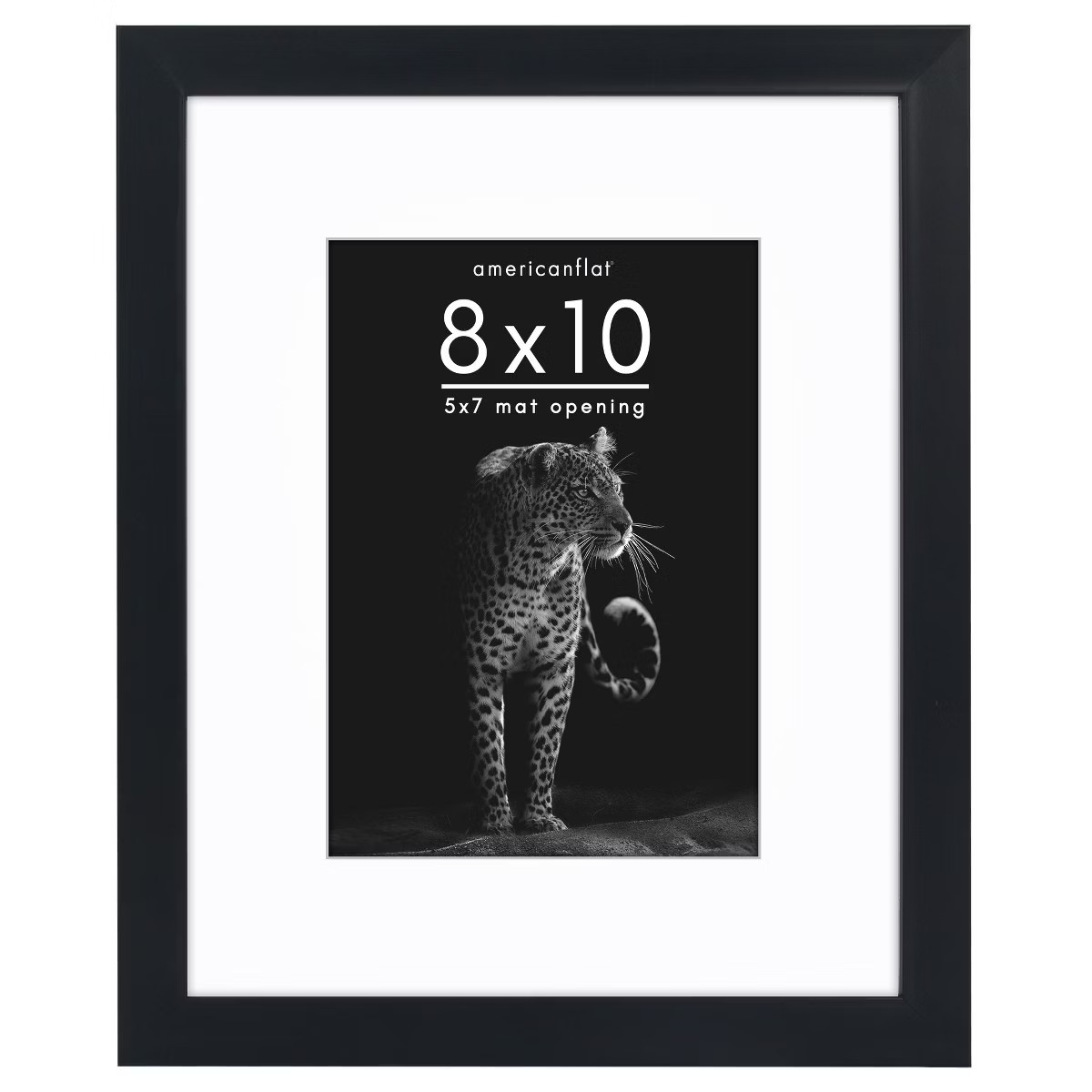 Americanflat Gallery-Style Picture Frame with Mat to Secure Artwork, Prints, and Photos | Target