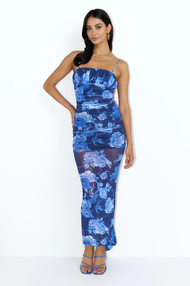 Blossom Mesh Maxi Dress Blue | Hello Molly (AU)