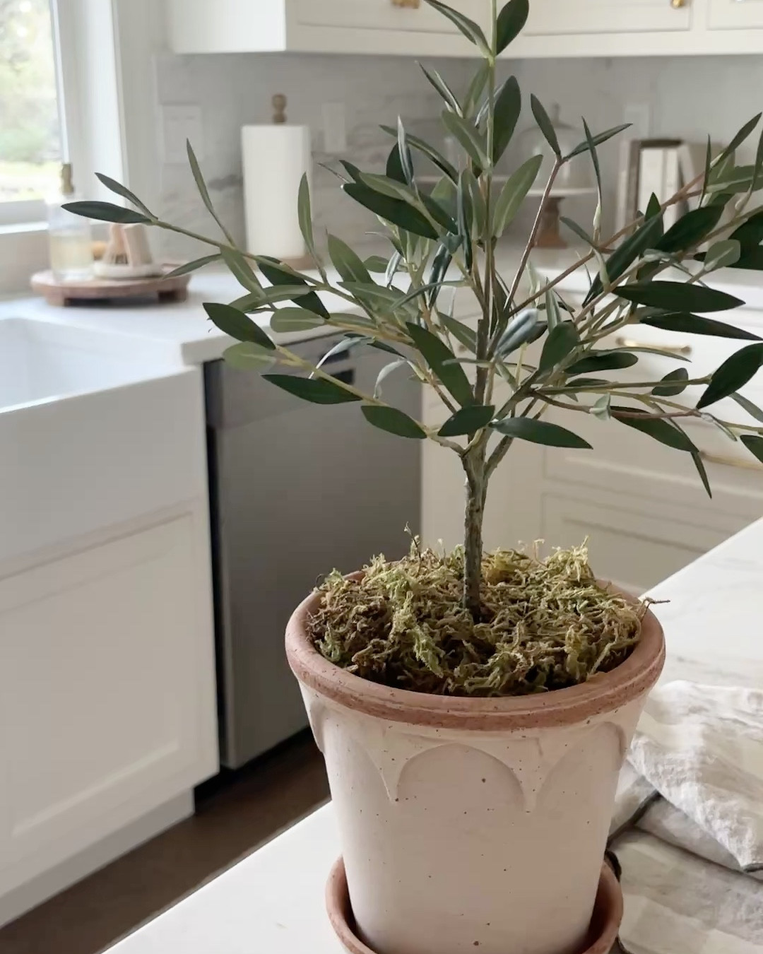 These are the absolute BEST faux olive topiaries ever!!! Look sooo real! This is the small, comes bigger, too.

Home decor, kitchen decor, console table decor, mantel decor, faux plants 





#LTKHome