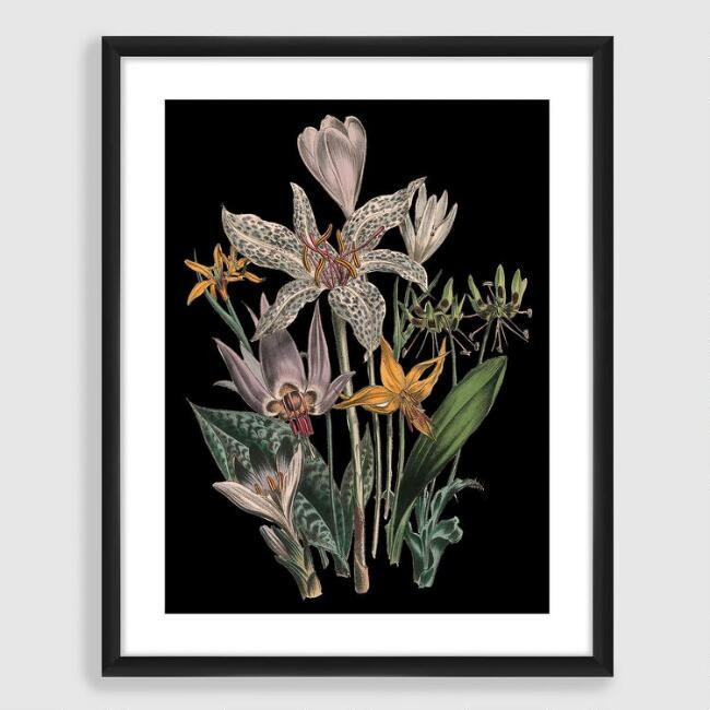Botanical I Framed Wall Art | World Market