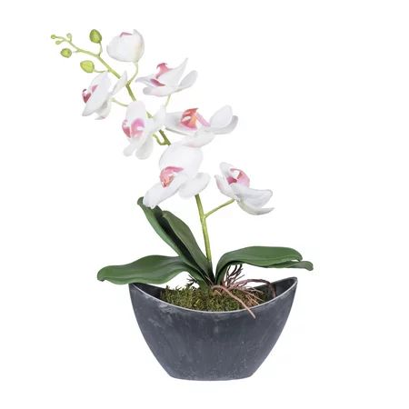 Vickerman 21" White Orchid in Oval Container | Walmart (US)