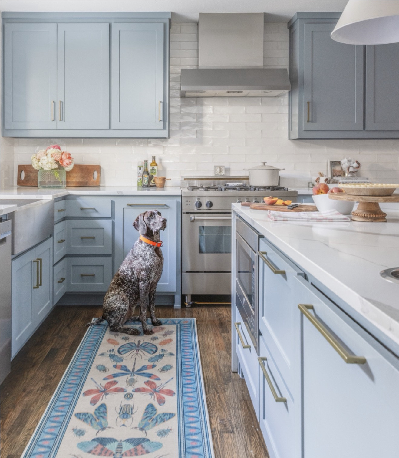 Fowler will be the first to tell you, I love the little details in a kitchen. 🐶

🖌️ Paint Color: Benjamin Moore Van Courtland Blue
🩵 Runner: Ruggable Iris Apfel Flutterby
🔑 Cabinet Door Handles: Brushed Brass Cabinets Pulls
💡 Pendant Light: Rejuvenation Butte 18" Pendant
🐶 Dog mugs: Hadley Clay

#LTKmorningroutine #LTKHome
