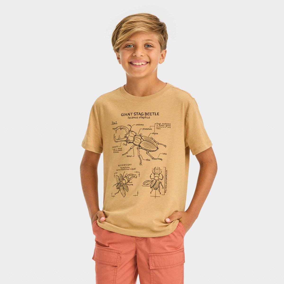 Boys' Short Sleeve Beetles 'Giant Stag Beetle' Graphic T-Shirt - Cat & Jack™ Brown | Target