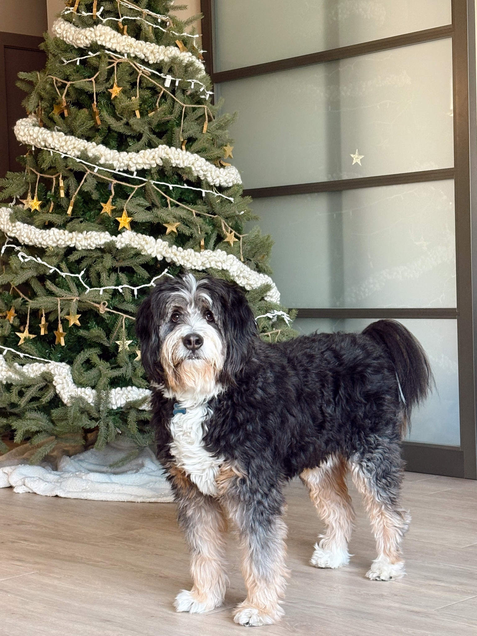 I love him 🥹🫶🏼




#LTKSeasonal #LTKHoliday #LTKdayinmylife