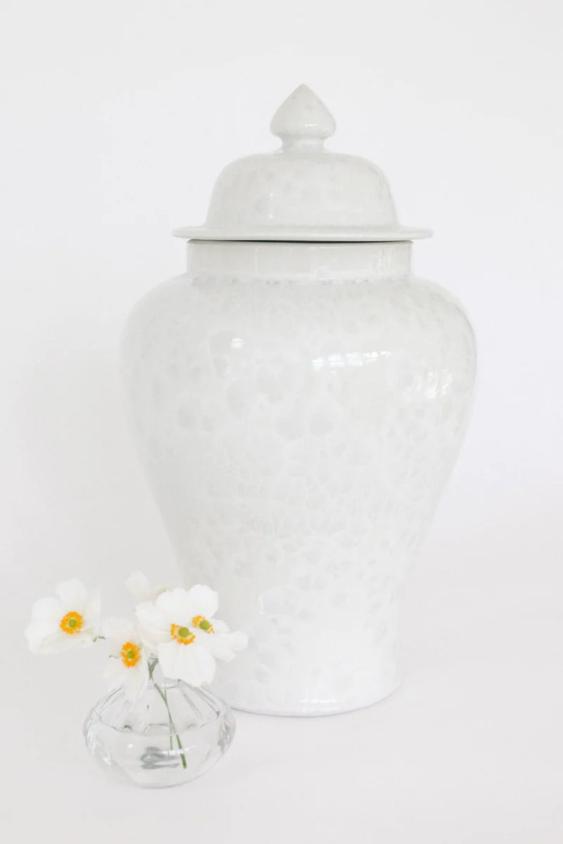 Crystal Shell Temple Jar | Jansen Home