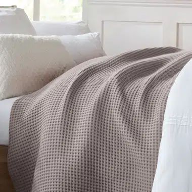 Jermonica 100% Cotton Bed Blanket | Wayfair Professional