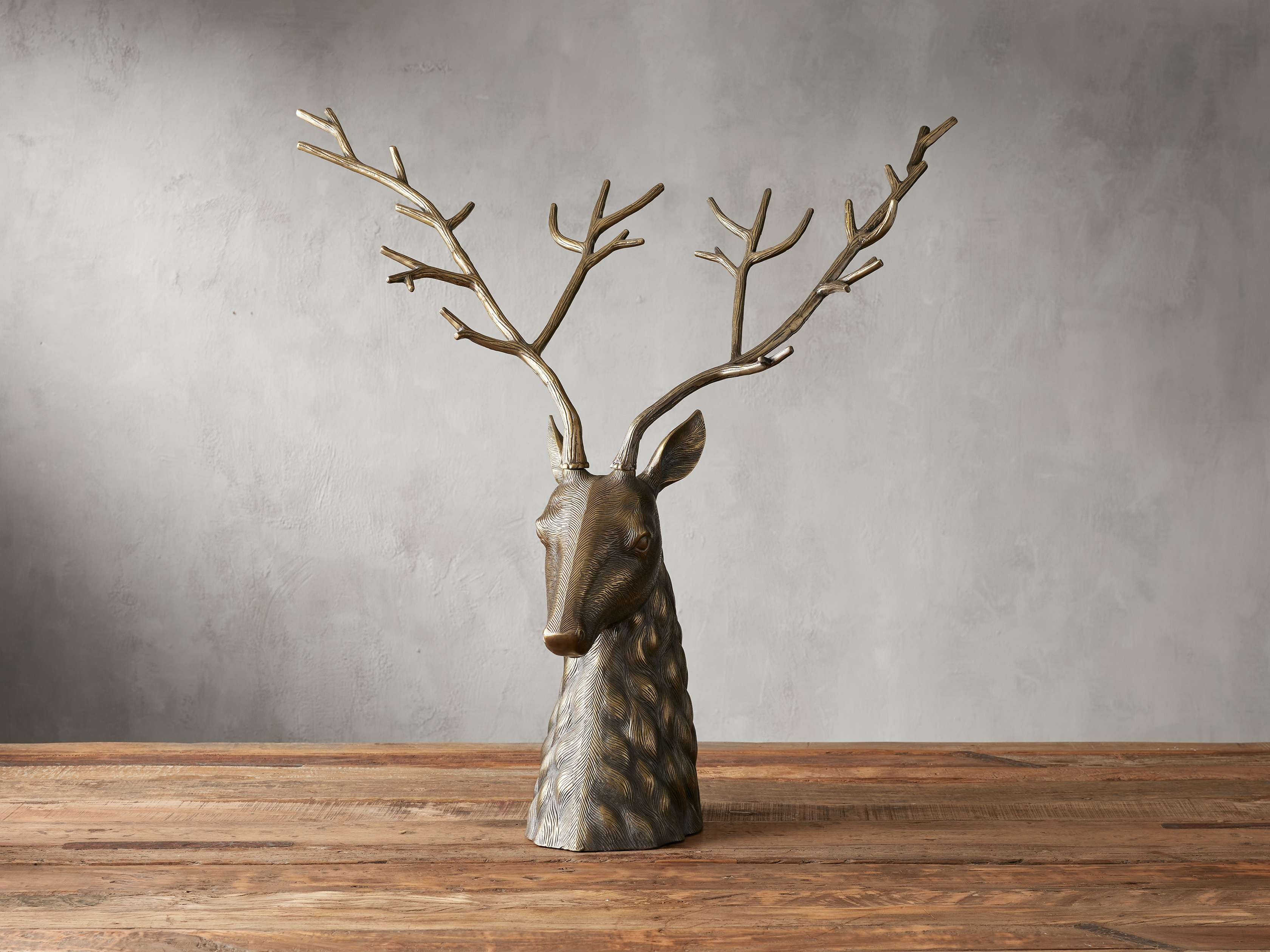 Stag Head | Arhaus