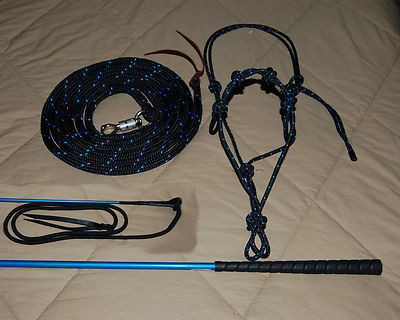 SOFT OR STIFF HALTER, 14' LEAD ROPE, HANDY CARROT STICK FITS PARELLI TRAINING | eBay US