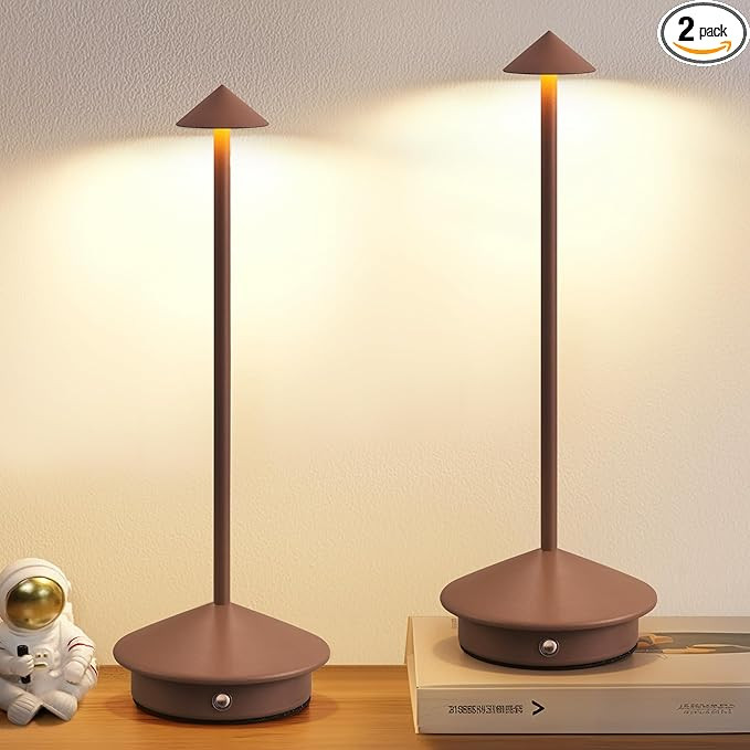 Modern Cordless Table Lamp Set of 2, Portable LED Desk Lamps, 5000mAh Rechargeable Battery Operat... | Amazon (US)