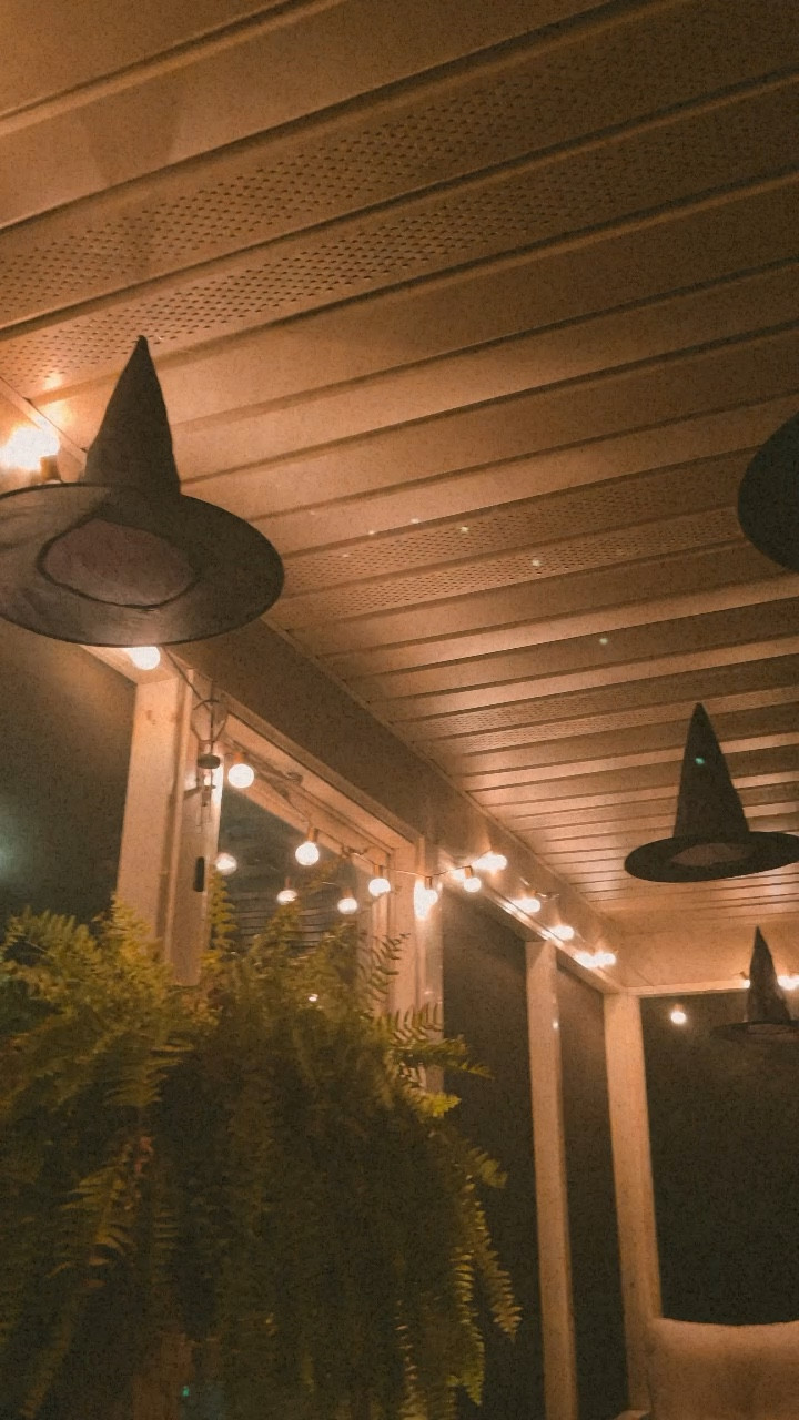 Love these witches hats for a magical Halloween feel 

#LTKHalloween #LTKhome #LTKSeasonal