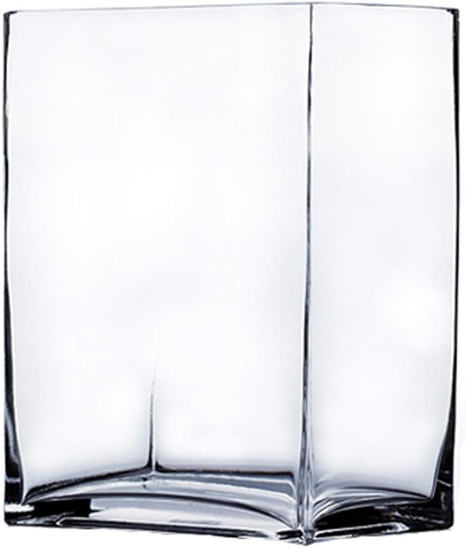WGV Rectangle Block Vase, Length 6", Width 4", Height 6", Clear Floral Bouquet Glass Container, F... | Amazon (US)