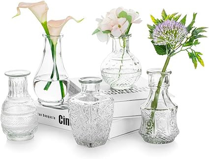 Glass Single Bud Vase Set of 5 Decorative Rustic Flower Vases Halloween Decorations Small Mini Ta... | Amazon (US)