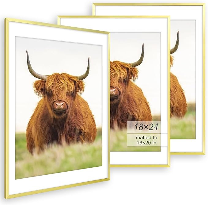 Golden State Art 18x24 Picture Frame Set of 3 - Gold Thin Border - Display Photo 16x20 with Mat o... | Amazon (US)