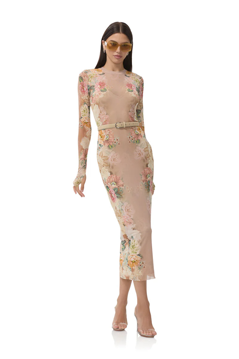 Ashland Dress - Honey Rose Frame | ShopAFRM