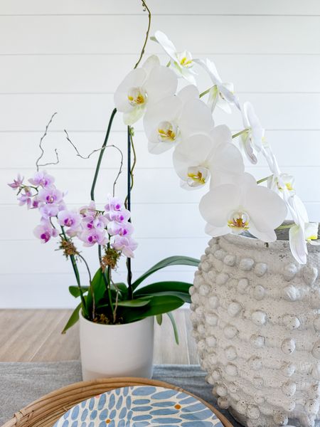 A pretty spot that makes me smile 🤍
This textured pot is one of my favorites! A couple of months ago a lovely client gave me these gorgeous orchids. Somehow I have managed to keep them alive. I read a trick is to place two ice cubes on top of its dirt once a week. So far, so good!
Linking the pot in my LTK. 



#LTKhome #LTKsalealert #LTKstyletip