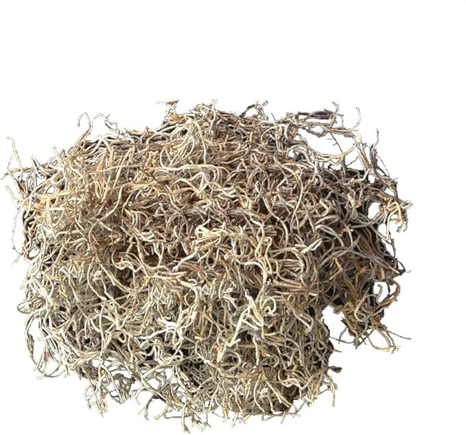 Mosser Lee ML0560 Spanish Moss, 250 Cubic Inches | Amazon (US)