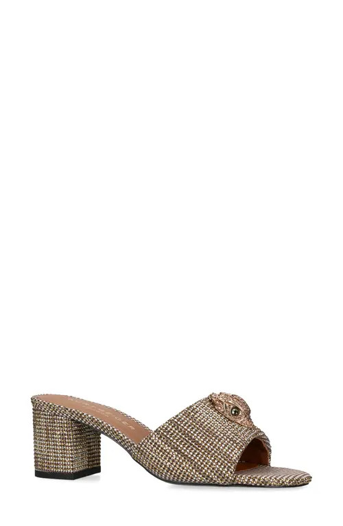 Kurt Geiger London Kensington Slide Sandal in Dark Beige at Nordstrom, Size 10.5Us | Nordstrom