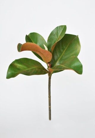 14" Faux Magnolia Leaf Stem | Michaels | Michaels Stores