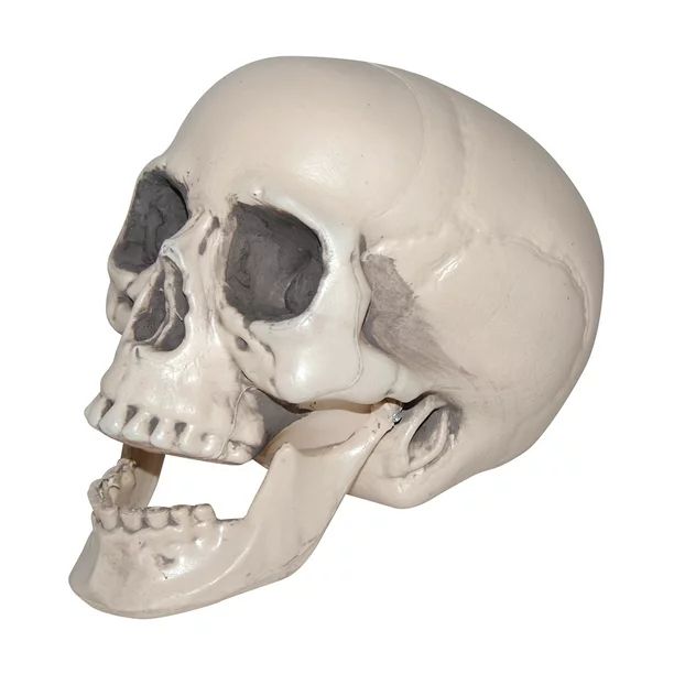 Amscan 670954 Halloween Jointed Mouth Skull - Walmart.com | Walmart (US)
