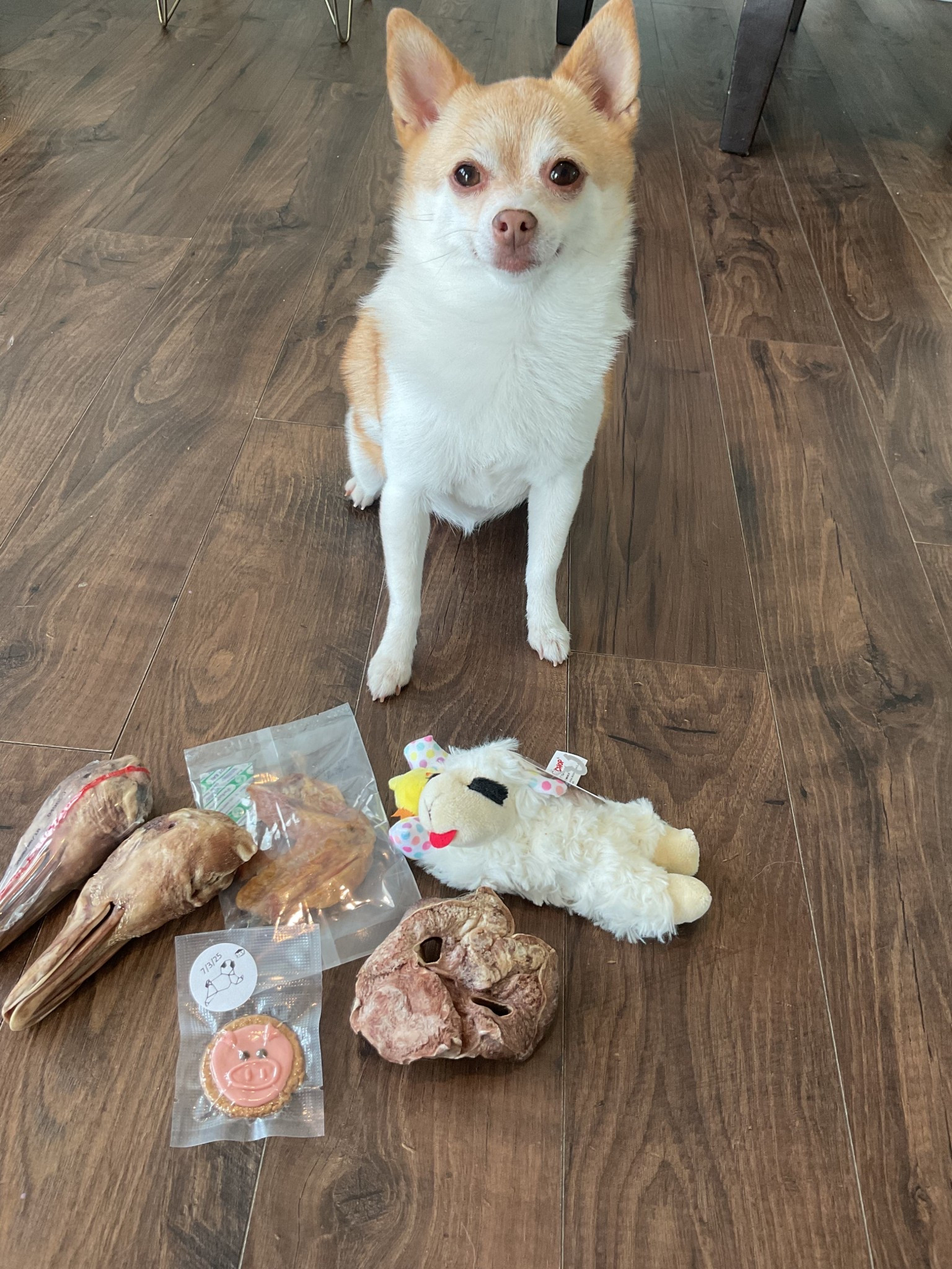Birthday girl 