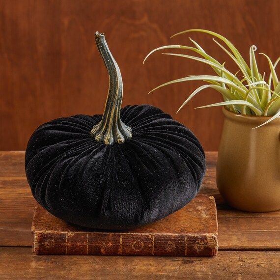 Large Velvet Pumpkin Black home decor trends Fall wedding | Etsy | Etsy (US)