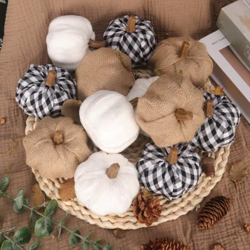 12 Pcs Mixed Artificial Pumpkins - Paintable White, Burlap, and Plaid Fabric Faux Fake Pumpkins for Fall Harvest, Thanksgiving, Halloween Decor - Perfect for DIY, Indoor Outdoor Decoration | Amazon (US)