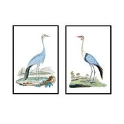 Elegant Beauty Pair | Urban Garden Prints