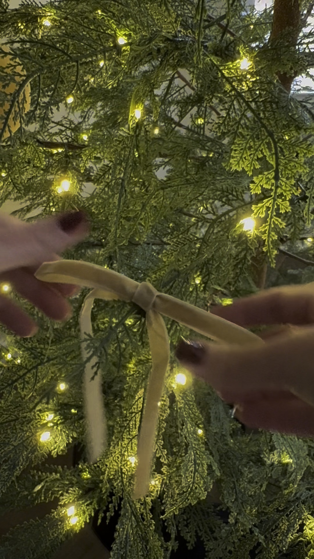 I adore this tree. The collar feels cold to me, so I’m going to replace it with a fur blanket, but love love love ✨ Comment VELVET below and I’ll send you all the links 🎁
#relatablemom #millennialmom #atlantamom #momvlogger #bedroomchristmastree #christmasornaments🎄 #velvetornaments 
Relatable mom, millennial mom, Atlanta mom, mom vlogger, bedroom Christmas tree, velvet ornaments