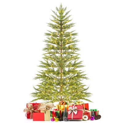 Lighted Cypress Christmas Tree with Realistic Needles | Wayfair North America