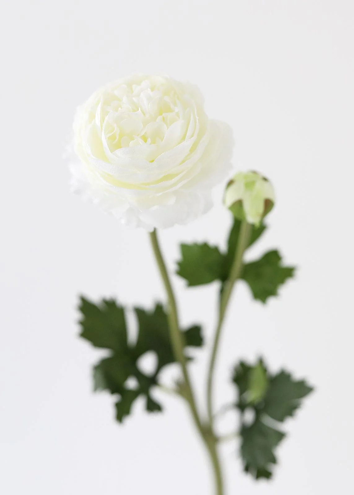 Cream White Ranunculus Silk Flower - 18.75" | Afloral (US)