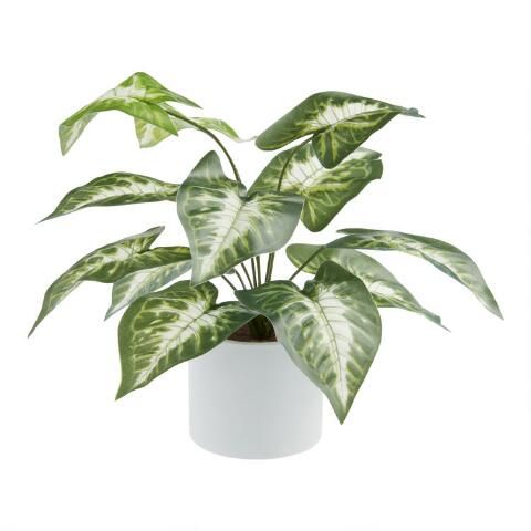 Faux Dasheen Leaf Plant in White Cement Pot | World Market