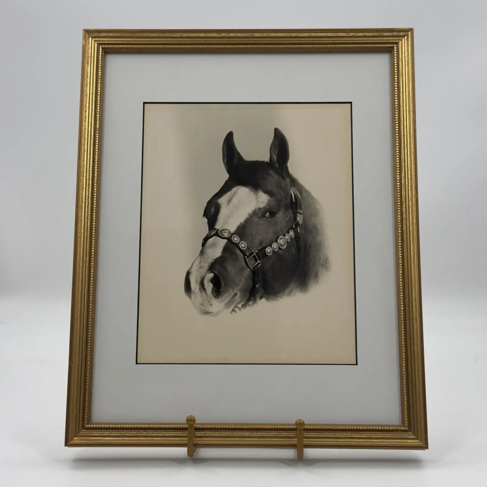 Vintage Western Black and White Horse Portrait Photograph White Blaze | Etsy (Global)