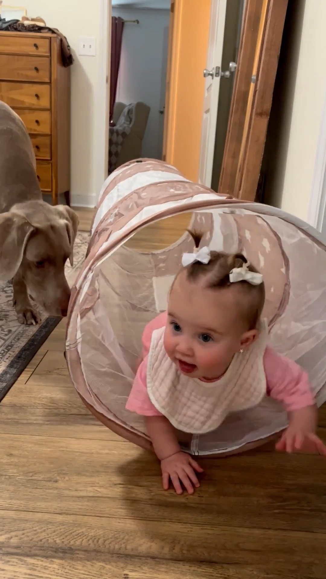 | first birthday gift ideas | Christmas gift guide | baby crawling tunnel |#LTKGiftGuide #LTKCyberWeek

#LTKBaby