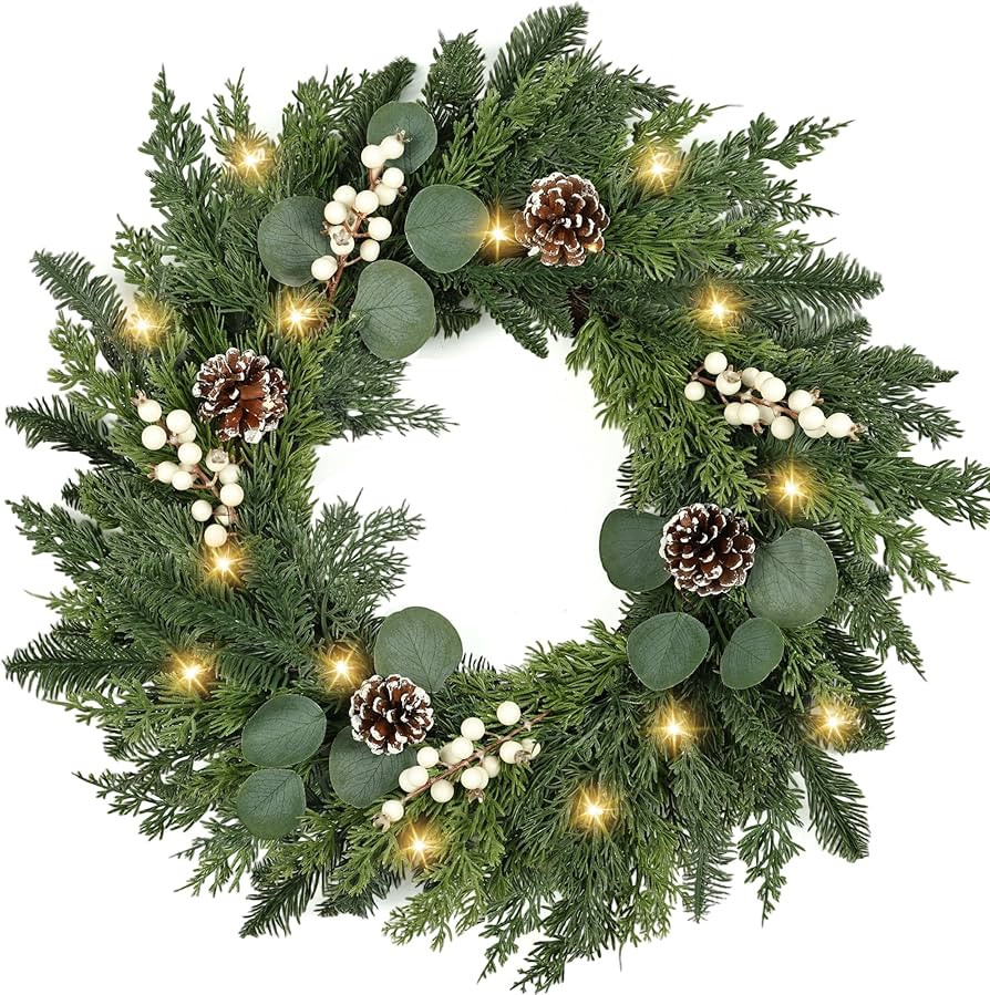 Christmas Wreath with Lights 24 Inch Real Touch Pine Wreath with White Berries/Pine Cone Prelit C... | Amazon (US)