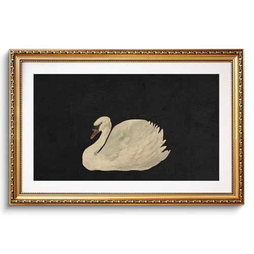 VIYYIEA Gold Framed Large Swan Decor Wall Art Canvas Print Vintage Grace Swan Art Painting Pictures Wall Decoration Rustic Bathroom Decor Farmhouse Artwork for Living Room Bedroom Office 24x36in | Amazon (US)