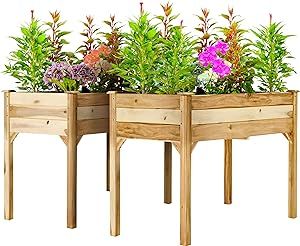 PrimeZone 2PCS 48 x 24 x 30 in Acacia Wood Raised Garden Bed - Elevated Planter Box with Legs, Pl... | Amazon (US)