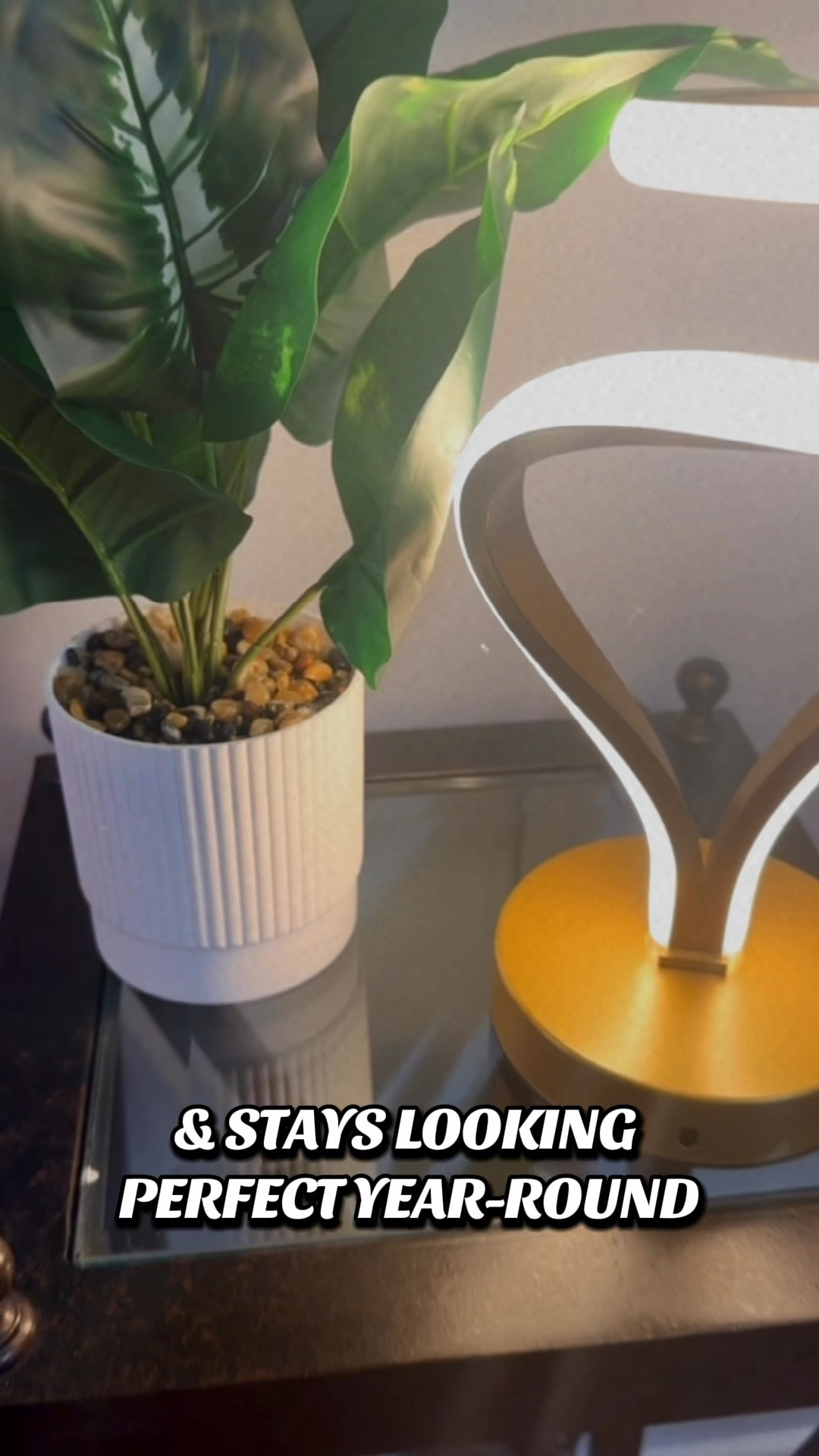 ✨ Zero maintenance, all style 🌿 These little plants are perfect for the living room, bathroom, office — anywhere you need a cozy touch!

#amazon #sale #homedecor #fauxplant #home

#LTKStyleTip #LTKHome #LTKSaleAlert