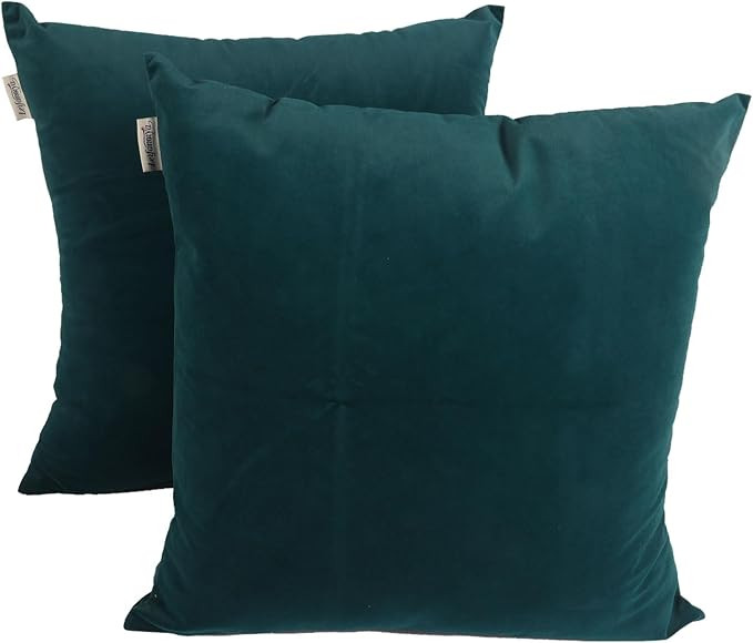 LEIFANTIYA Square Throw Pillow Cover Pack of 2, Super Soft Green Velvet Pillowcase 20 x 20 Inches... | Amazon (US)