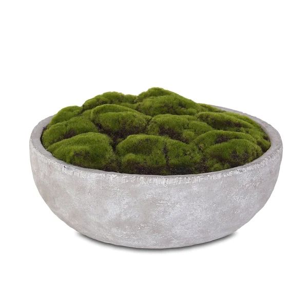 Artificial Fake Moss Arrangement in Round Stone Wash Cement Bowl - 14.5W x 14.5D x 2H | Bed Bath & Beyond