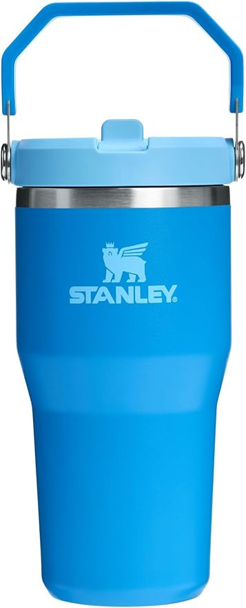 STANLEY IceFlow 2.0 Flip Straw Tumbler with Handle 20 oz | Twist On Lid and Flip Up Straw | Leak ... | Amazon (US)