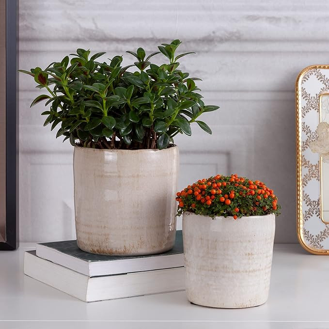 Flower Pot Outdoor Large Decorative Indoor Planter with Drain Hole Set of 2 (Beige, 4.7 + 4 Inch)... | Amazon (US)