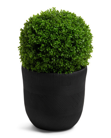 16x25 Uv Resistant Outdoor Safe Boxwood In Planter | Marshalls