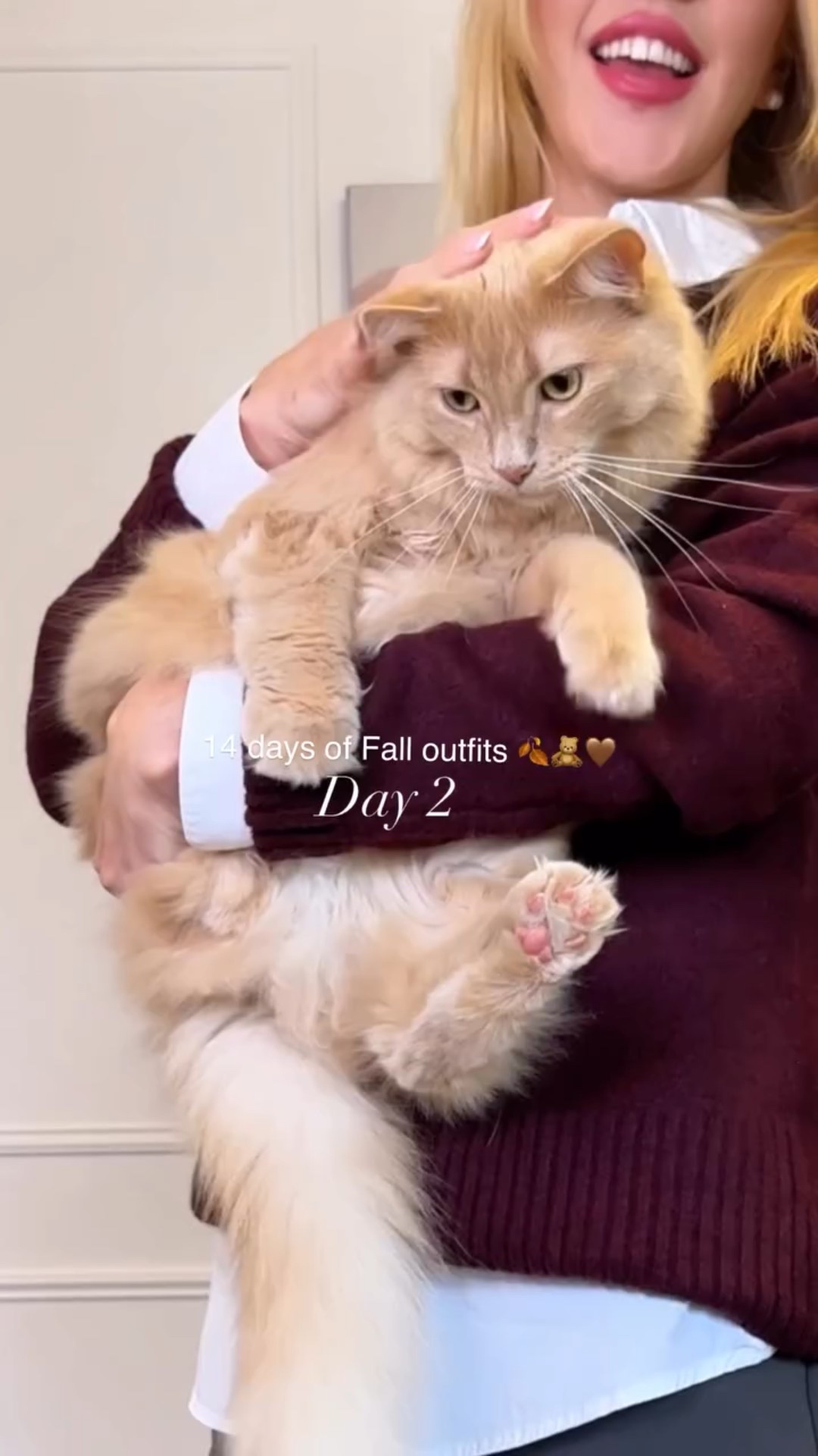 Comment “burgundy” below to get outfit shopping links directly in your DMs 🤎 I’m obsessed with burgundy anyone else? 🥰 sneakers, burgundy sweater, preppy style, university looks 

#falloutfits #whattoweartoday #whattowearnow #falltrends #autumnoutfits #zaralook #zaralooks #outfitideasforyou #postpartumjourney #howtostyle 

#LTKworkwear #LTKstyletip #LTKsale