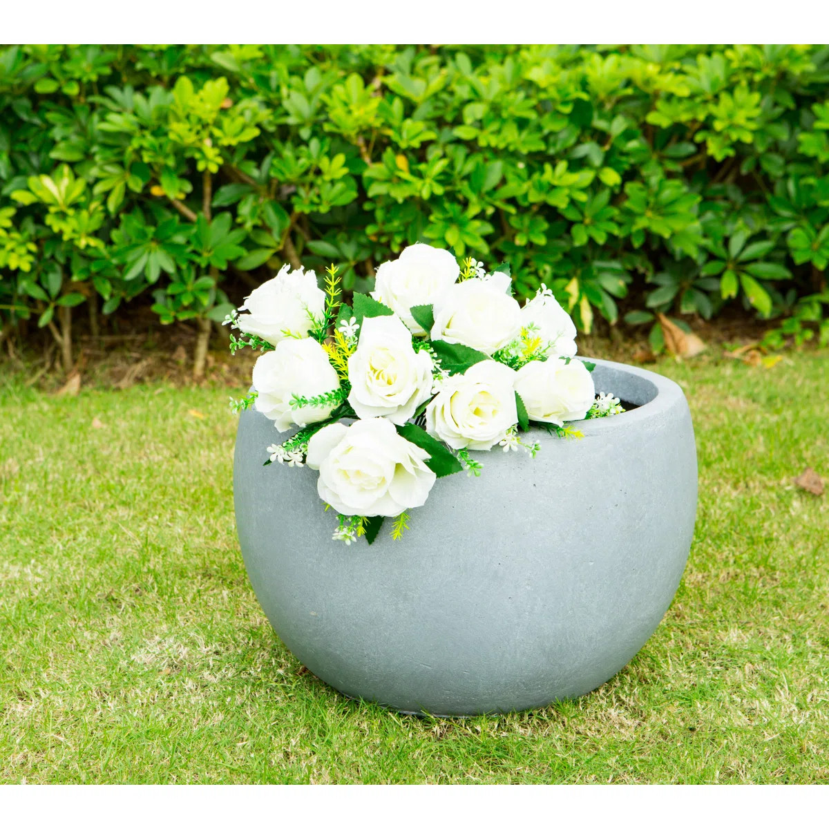 Pot Planter | Wayfair North America