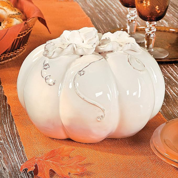 Fun Express White Ceramic Pumpkin with Vine Accents (10 inch Diameter) Fall Home Decor | Amazon (US)