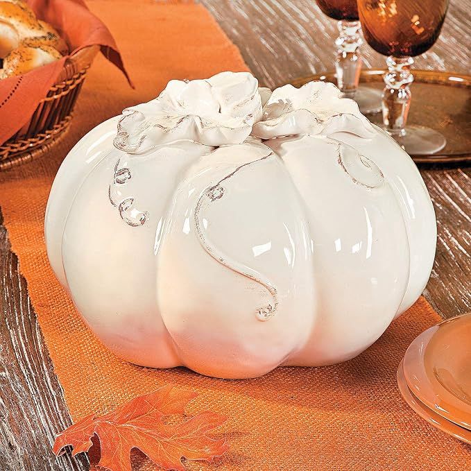 Fun Express White Ceramic Pumpkin with Vine Accents (10 inch Diameter) Fall Home Decor | Amazon (US)