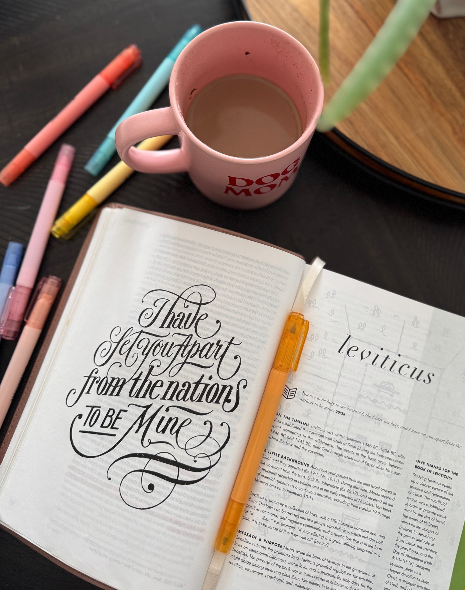 current favorite Bible & highlighters (that don’t leak through the page!!) 

#LTKGiftGuide #LTKFindsUnder50 #LTKHome