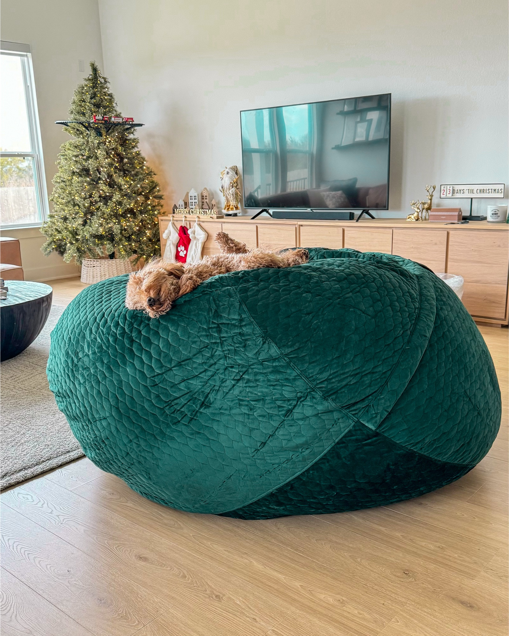 our Lovesac Supersac is the best seat in the house! I never thought I’d have a giant beanbag in my living room but we actually love it so much! The removable, washable covers make it super easy to switch up the style for every season. The Supersac size comfortably fits 2 adults + a medium sized dog.

#LTKHome #LTKHoliday
