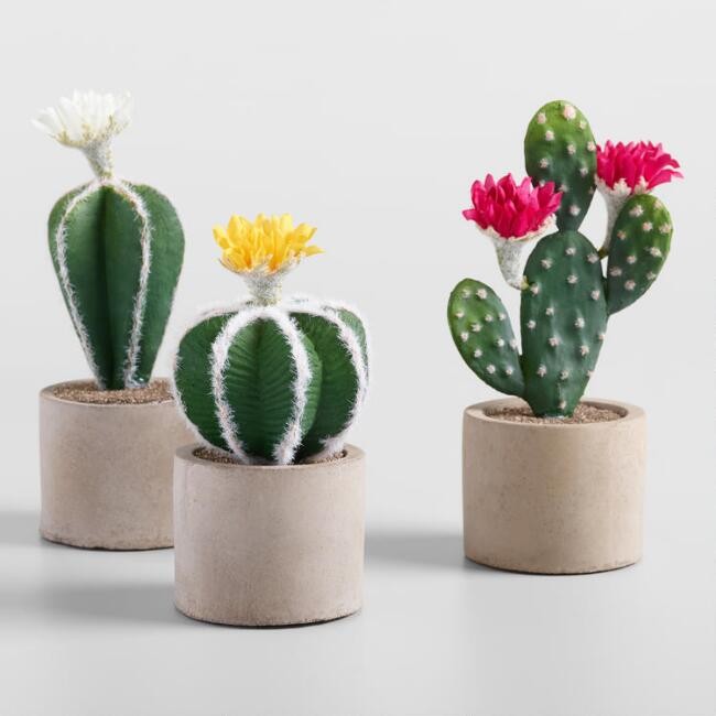 Faux Flowering Cacti in Cement Pots Set of 3
							var ensTmplname="Faux Flowering Cacti in Ceme... | World Market